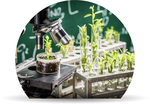 Research & development locations