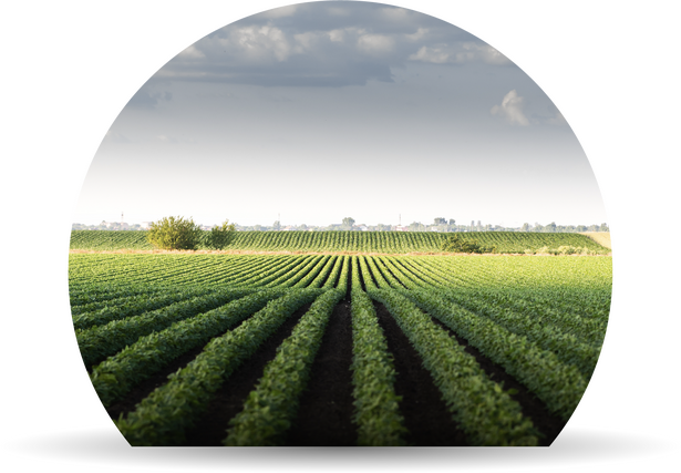 Hectares of farmland