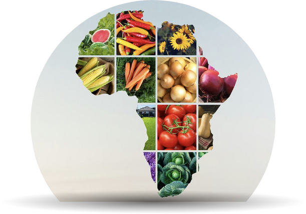 International subsidiaries